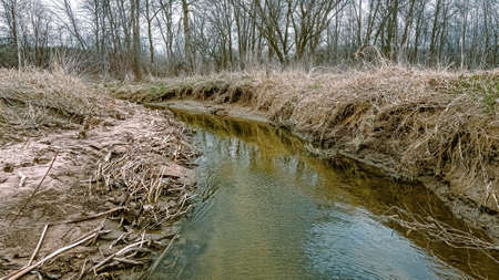 Springtime has arrived and the snow has melted away. This stream runs through the wilderness...