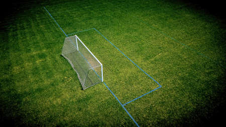 Fresh green grass is growing on the soccer fields at a local park