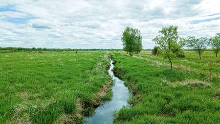 Springtime view of a small stream running through green fields under a cloudy skyの写真素材