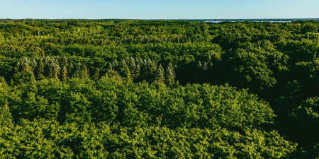 Its a hot summer day looking over the forest in rural wisconsin. Lake Winneconnie stands far in the...