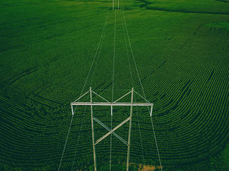 A grouping of powerlines over farm land in rural wisconsinの写真素材