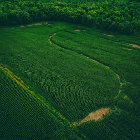These farmlands in wisconsin border along a forestの写真素材