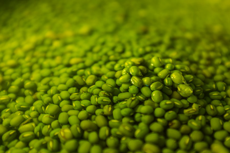 green beansの写真素材