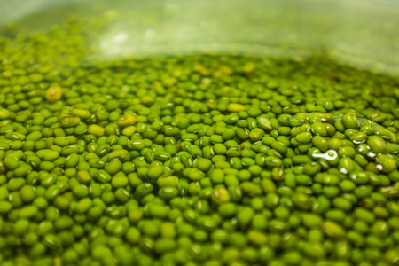 green beansの写真素材