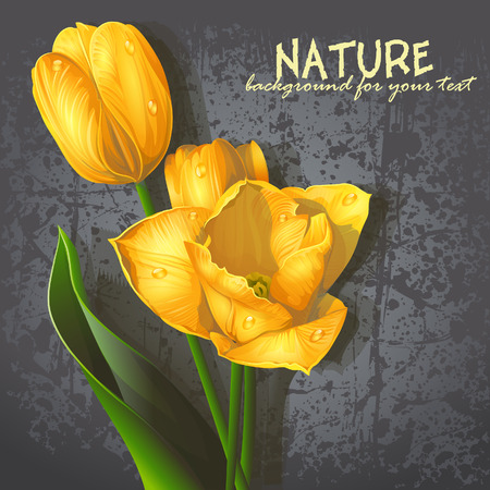 Background for your text with yellow tulipsのイラスト素材