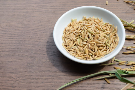 Organic Paddy Seeds, Unmilled Rice on wood background with copy space, healthy food.の写真素材