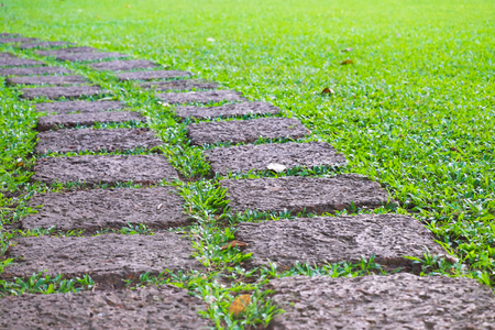 Green lawn, Beautiful stepping stone pathway with green lawn,walkway in the garden, garden landscape design.の写真素材