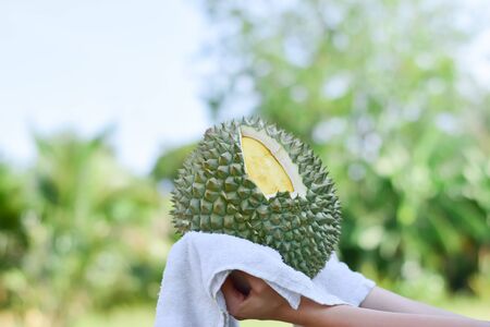 Asian young woman holding fresh durian on a nature background, Tropical seasonal fruit, King of fruit from Thailand.の写真素材
