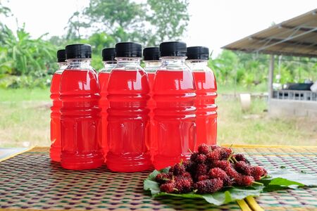 Refreshing mulberry juice in the bottles with berries on table, Healthy fruit, Organic fresh.-Healthy concept.の写真素材
