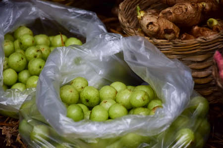 Makhampom, Indian gooseberry, Phyllanthus emblica green fruits.