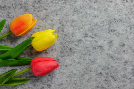 Tulips flower on gray background, colorful tulips, Valentine's day background used for desktop wallpaper or website design.の写真素材