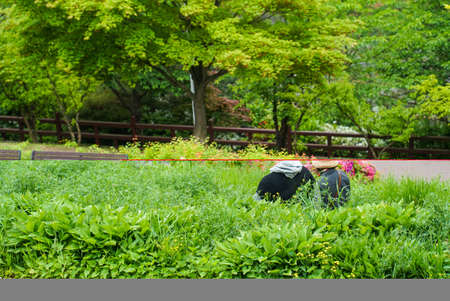 Mother and son, flower garden sceneryの写真素材