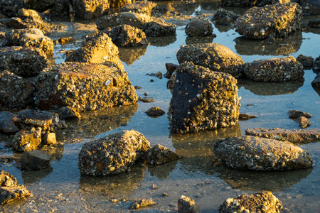 Yeongjongdo Island, Incheon, Korea, is famous for its stone scenery from Seonnyeo Rockの写真素材