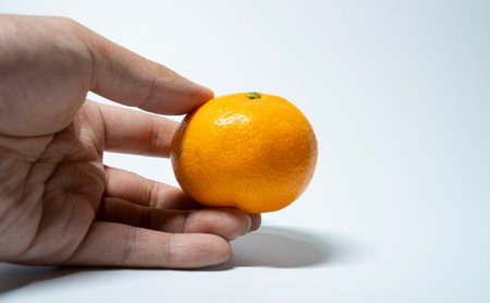 A picture of tangerines inside the studio