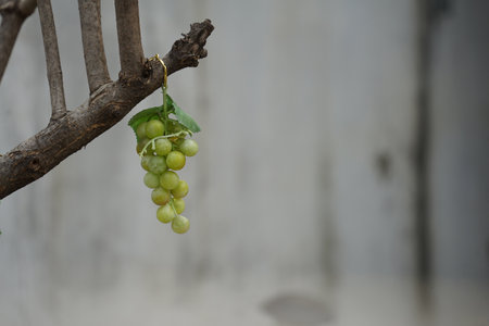 Object Grape, Alleyway, Yongsan-gu, Seoulの写真素材