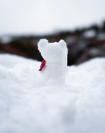 Jeju Island and snowman bearsの写真素材