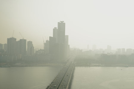 Seoul Scenery with Fine Dust