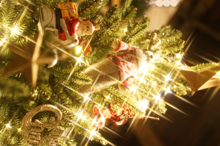 A view of a Christmas tree taken with a camera in Koreaの写真素材