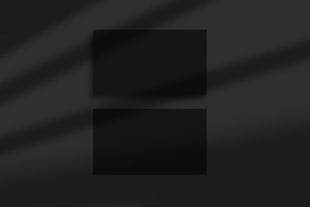 Business Card Poster mock up Photoの写真素材