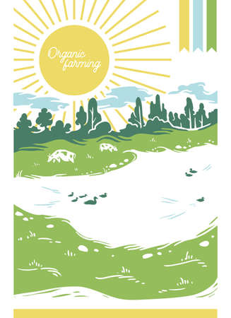 Cows graze on green grass by a lake with ducks on a clear sunny day. A poster with the caption: organic farming. Vector illustration.のイラスト素材