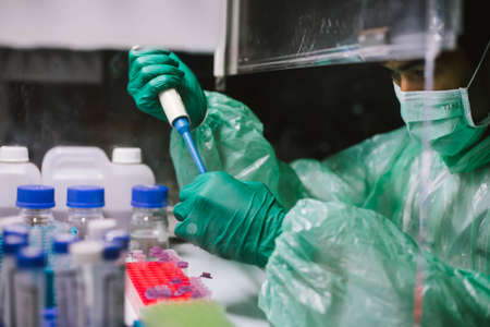 Young scientist using pipette transfer sample to Micro Centrifuge Tube for PCR test in Biosafety...