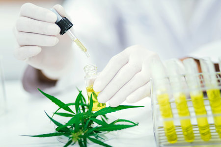 scientist in laboratory testing cbd oil extracted from a marijuana plant.  Healthcare pharmacy from medical cannabis.の写真素材