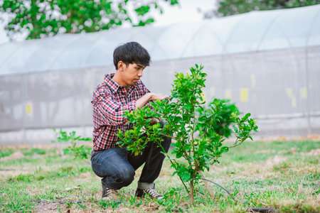 Young farmer holding tablet and checking plants in fieldの写真素材