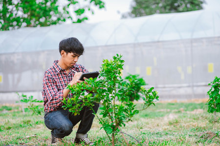 Young farmer holding tablet and checking plants in fieldの写真素材
