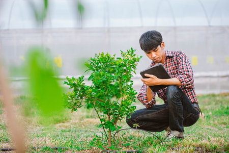 Young farmer holding tablet and checking plants in field