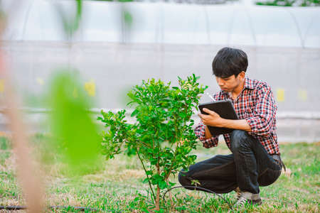 Young farmer holding tablet and checking plants in fieldの写真素材