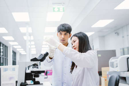Two medical scientists looking at a test tubes. select a focus in young female scientistの写真素材