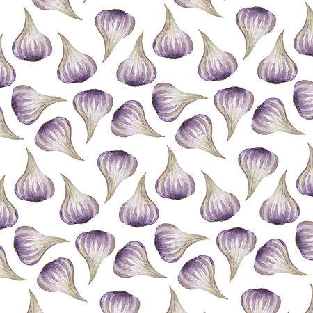 Culinary herbs - hand painted watercolour garlicのイラスト素材