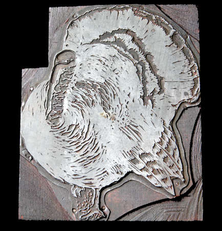 printer's cut of a turkey in full plumage on a black backgroundの写真素材