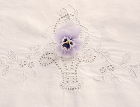 fresh pansy on a decorative cutwork tablecloth