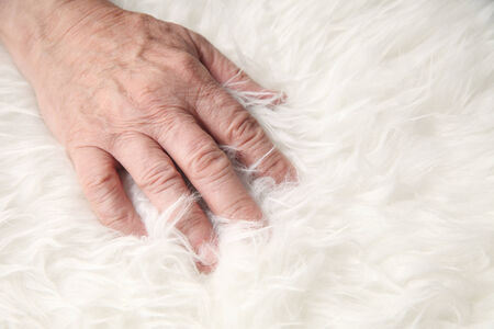 A man's hand in the soft pile of a faux sheepskinの写真素材