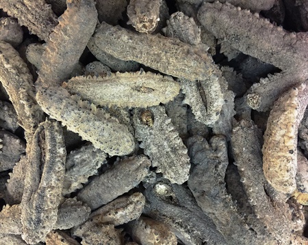 Dried sea cucumbers