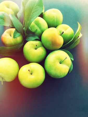 Ripe plums with leaves, glow and copy spaceの写真素材