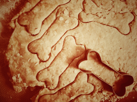 Cutting out peanut butter and oats dough for dog treatsの写真素材