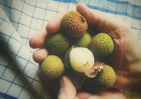 A man with both hands holding lychee fruits over a dish cloth