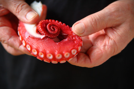 A man in a black apron holds a sashimi octopus tentacleの写真素材