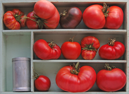 Large and small heirloom tomatoes in a box with an antique salt shakerの写真素材