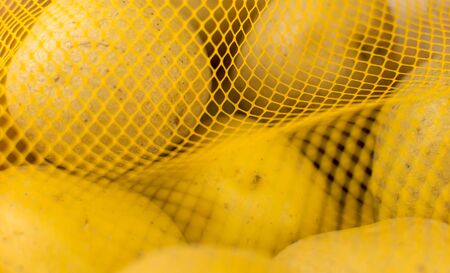 Potatoes in a grid.の写真素材