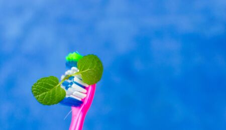 Toothbrush with mint on a blue background.の写真素材