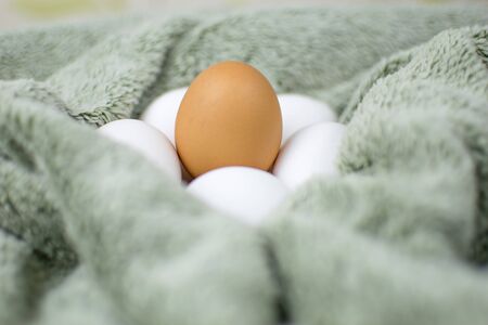 Chicken eggs of a gray tissue surface. One is brown, the others are white. Concept: not like everyone else.の写真素材