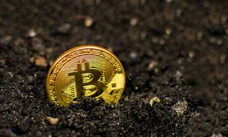 Coin bitcoin in the ground. The concept of bitcoin growth.の写真素材