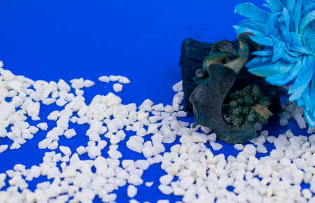 Blue background with white stones and decor.の写真素材