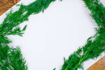 Dill stems laid out in the form of a rectangular frame.の写真素材