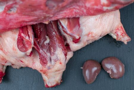 Raw meat of an animal. Nutria.の写真素材