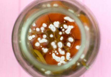Mold in a can of canned tomatoes.の写真素材