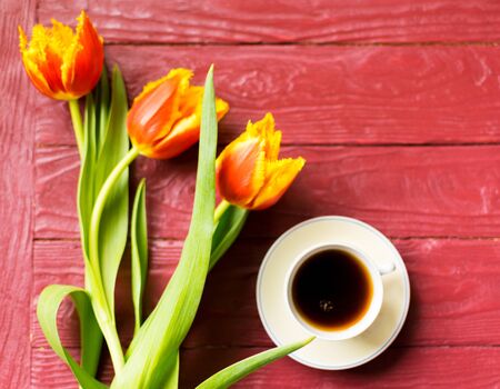A cup of coffee and tulips on a burgundy wooden background.の写真素材